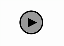 البلطجية إلى جوار سيارة الشرطة أمام اللجان